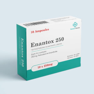 Testosterone Enanthate 250 mg/mL (10 × 1 mL Ampoules) (Novotex Pharma)